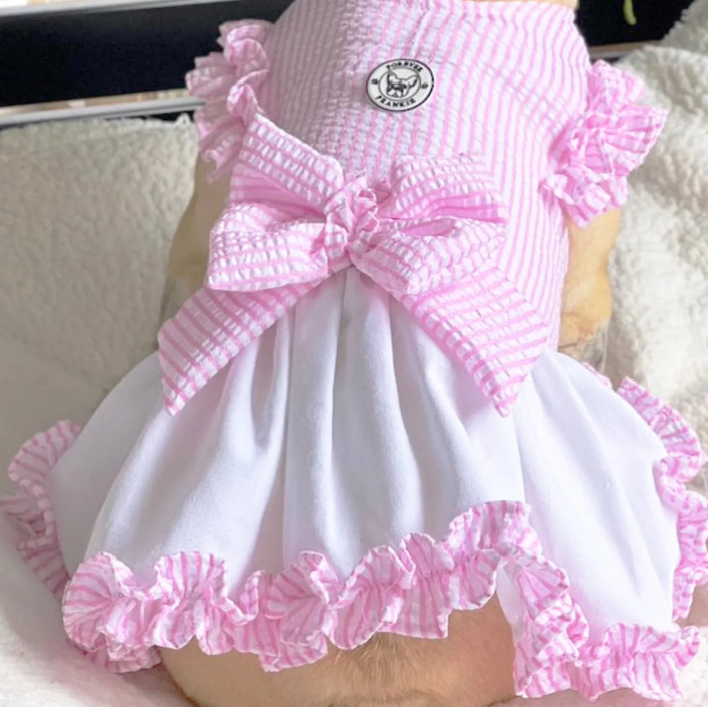 Luxe Pink Gingham Seersucker Dog Dress (Limited Edition)