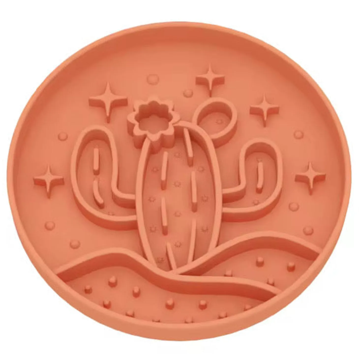 Luxe Terracotta Cactus - Slow Feed Bowl