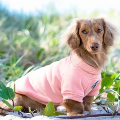 Mandarin Dog Skivvie