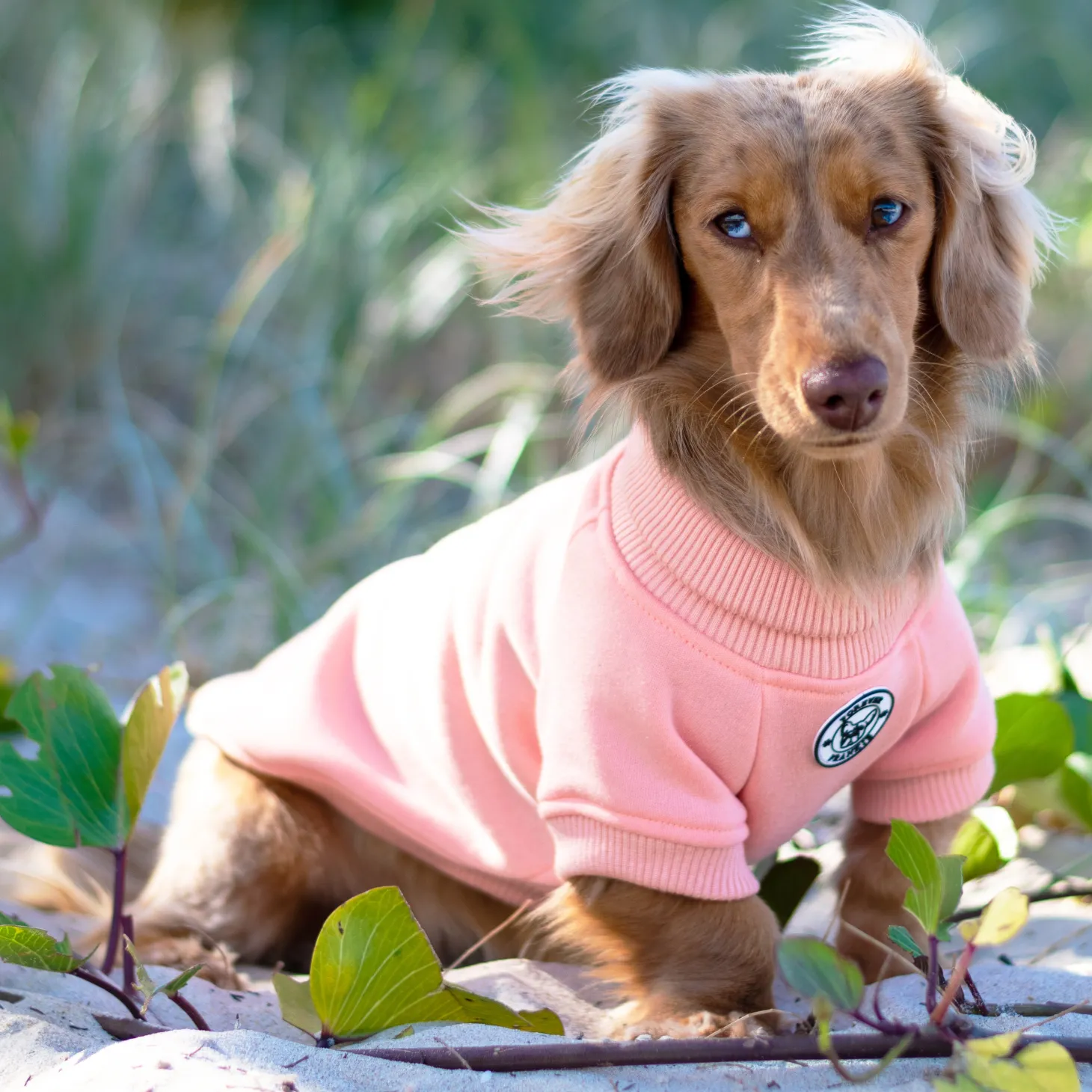 Mandarin Dog Skivvie