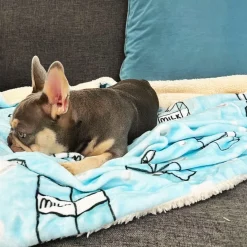 Milk Carton - Extra Soft Pet Blanket