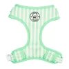 Mint Candy Stripe - Adjustable Harness