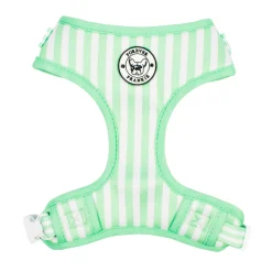 Mint Candy Stripe - Adjustable Harness