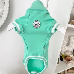 Mint Green with striped ribbing Dog Skivvie