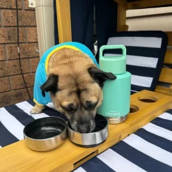 Mint Portable Human / Dog Stainless Steel Adventure Drink Bottles