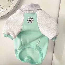 Minty Merle Dog Skivvie