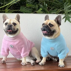 Musk Blush Dog Skivvie