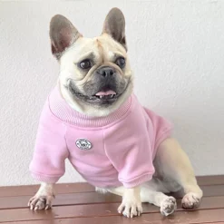 Musk Blush Dog Skivvie