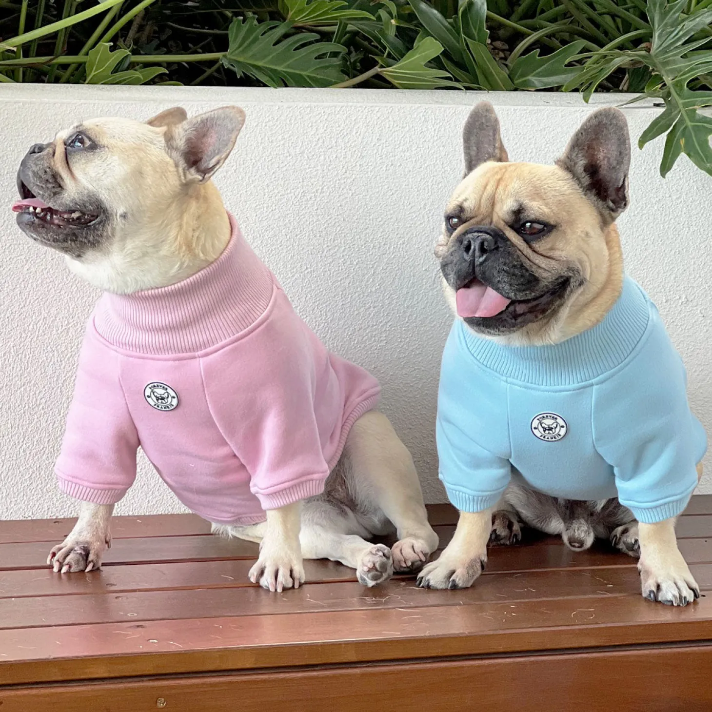 Musk Blush Dog Skivvie