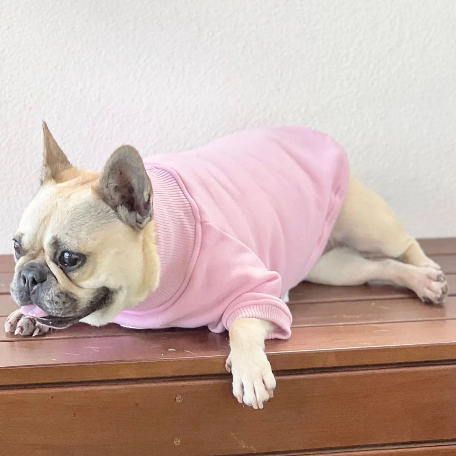 Musk Blush Dog Skivvie