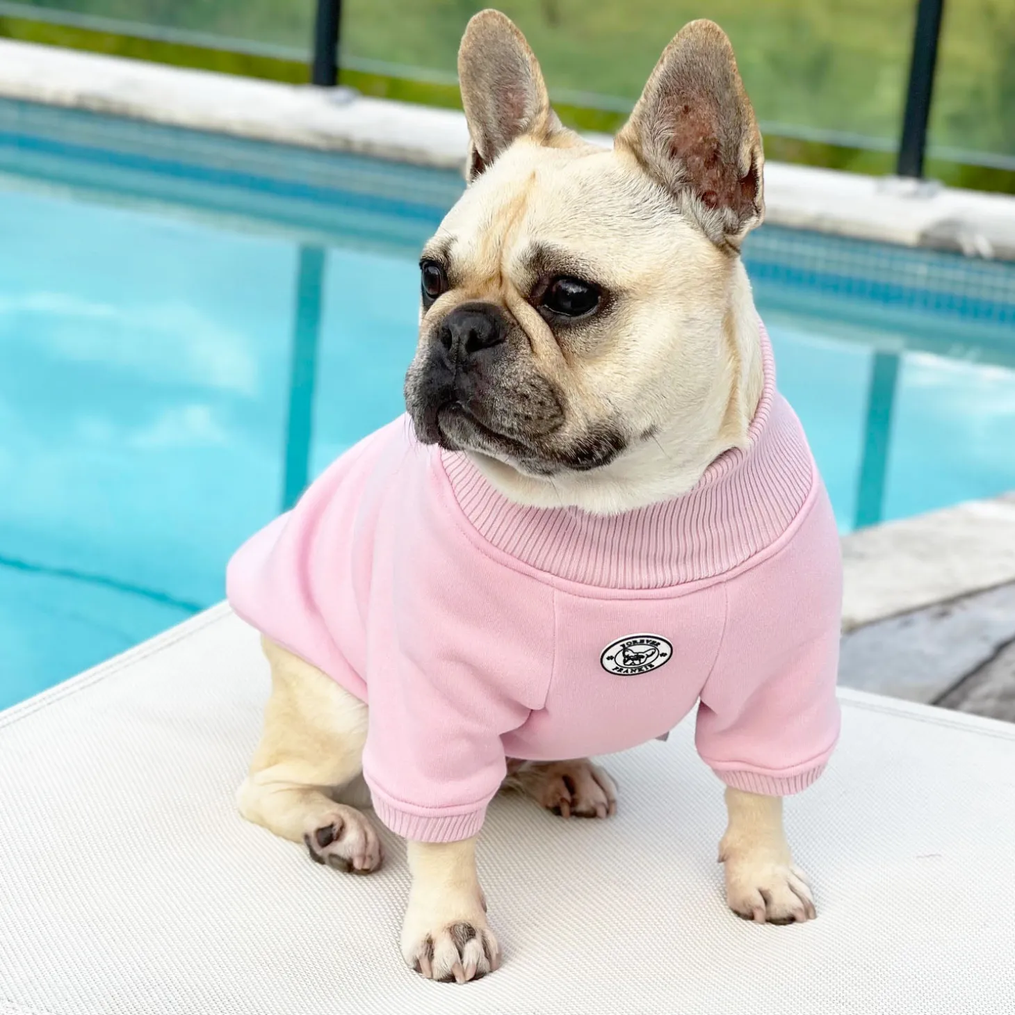 Musk Blush Dog Skivvie