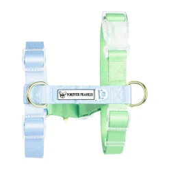 Ocean Dream - Luxe Strap Harness