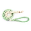Ombre Mint Green - Rope Dog Lead