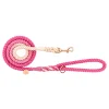 Ombre Pink - Rope Dog Lead