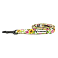 On order - Heavenly Sunflower - Dog Lead