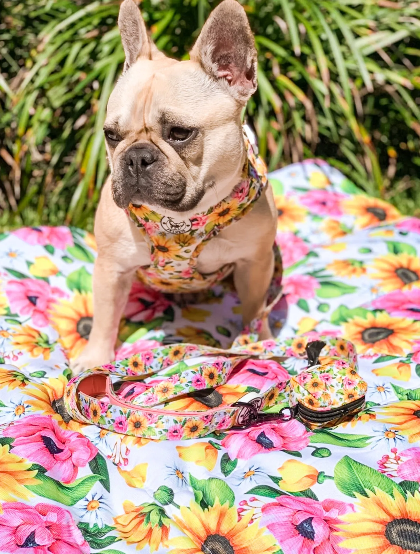 On order - Heavenly Sunflower - Dog Lead