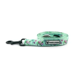 On order - Spring Butterfly - Dog Lead