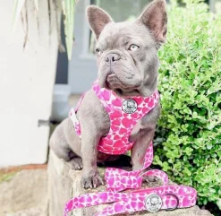 On Order - Sweethearts - Dog Lead