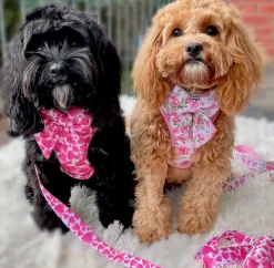 On Order - Sweethearts - Dog Lead