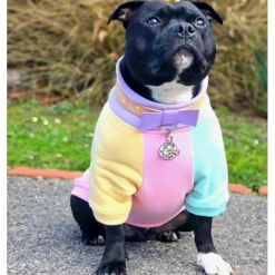 Passion Pop Dog Skivvie