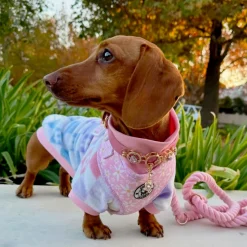 Pastel Check Dog Skivvy