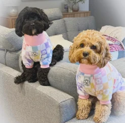 Pastel Check Dog Skivvy