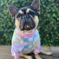 Pastel Check Dog Skivvy