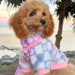 Pastel Check Dog Skivvy