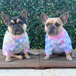 Pastel Check Dog Skivvy
