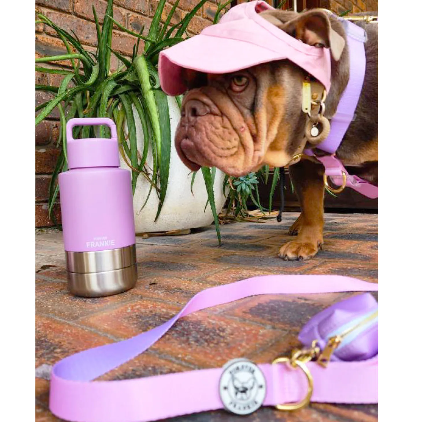 Pastel Pink / Lavender - Luxe Strap Harness