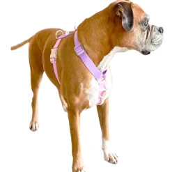 Pastel Pink / Lavender - Luxe Strap Harness
