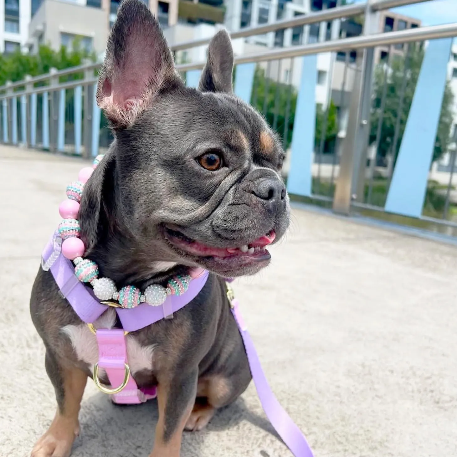 Pastel Pink / Lavender - Luxe Strap Harness