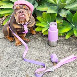 Pastel Pink / Lavender - Luxe Strap Harness