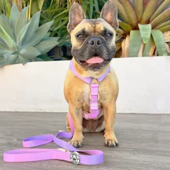Pastel Pink / Lavender - Luxe Strap Harness