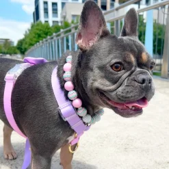 Pastel Pink / Lavender - Luxe Strap Harness