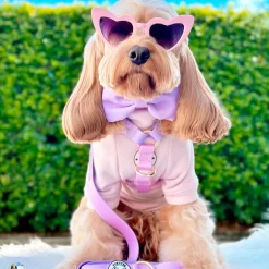 Pastel Pink / Lavender - Luxe Strap Harness