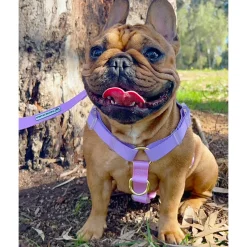Pastel Pink / Lavender - Luxe Strap Harness