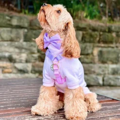 Pastel Pink / Lavender - Luxe Strap Harness