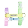Pastel Rainbow - Luxe Strap Harness