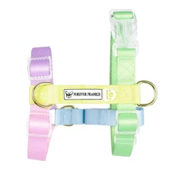 Pastel Rainbow - Luxe Strap Harness