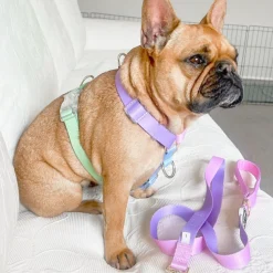 Pastel Rainbow - Luxe Strap Harness