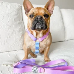 Pastel Rainbow - Luxe Strap Harness