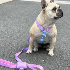 Pastel Rainbow - Luxe Strap Harness
