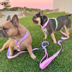Pastel Rainbow - Luxe Strap Harness