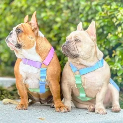 Pastel Rainbow - Luxe Strap Harness