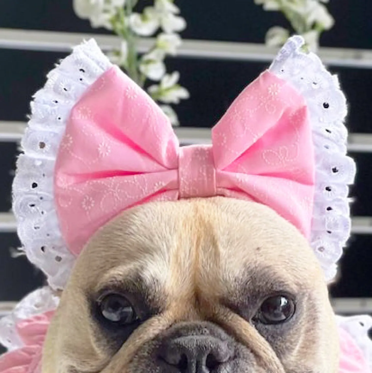 Peachy Dream - Head Bow (Limited Edition)