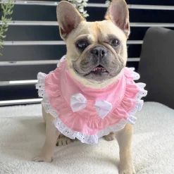 Peachy Dreams Bandana