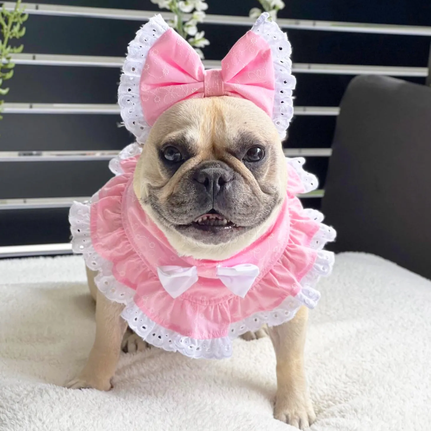 Peachy Dreams Bandana