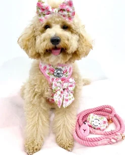 Peony Blooms - Adjustable Harness