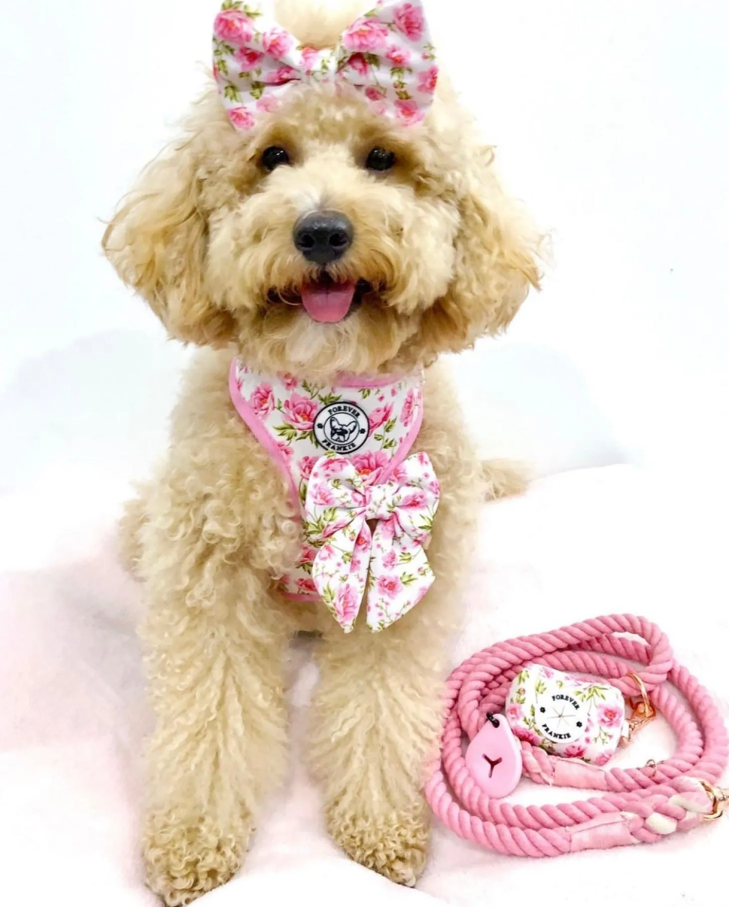 Peony Blooms - Adjustable Harness